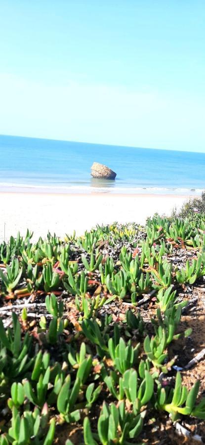 Caracola Beach マタラスカニャス エクステリア 写真